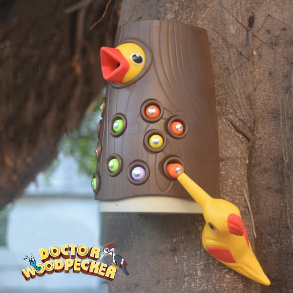 Juego Magnético Pajaritos Montessori Divertido